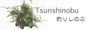 Tsurishinobu