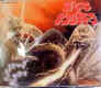 wpe17C.jpg (2257 oCg)