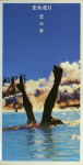 Attached image