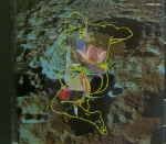 Attached image