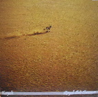 Attached image