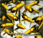 Attached image